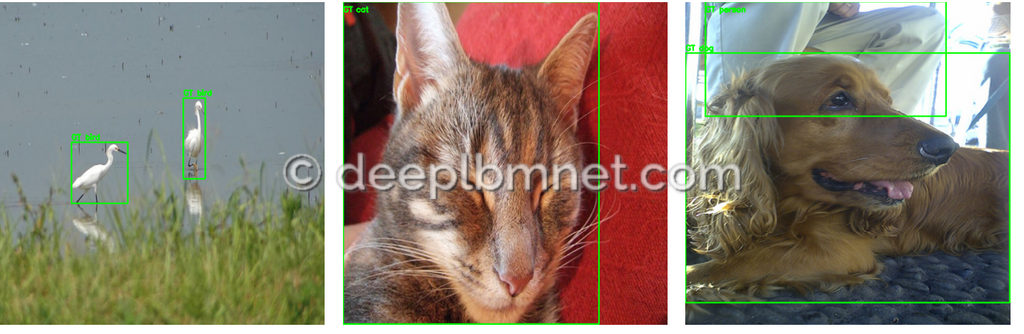 LBMNet is a new architecure for Image Inpainting base in the lattice Boltzmann Method