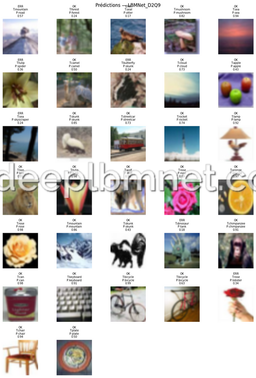 LBMNet is a new architecure for Image Classification based in the lattice Boltzmann Method