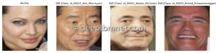 LBMNet is a new architecure for Face Recognition based in the lattice Boltzmann Method