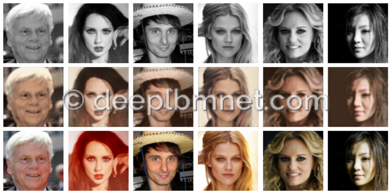 LBMNet is a new architecure for Image Coloriz based in the lattice Boltzmann Method