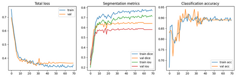 curve of learning for 3D Medical Image Segmentation