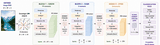 LBMNet is a new architecure  for Image classification base d in the lattice Boltzmann Method