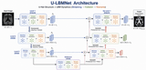 LBMNet is a new architecure  for Image Inpainting base in the lattice Boltzmann Method